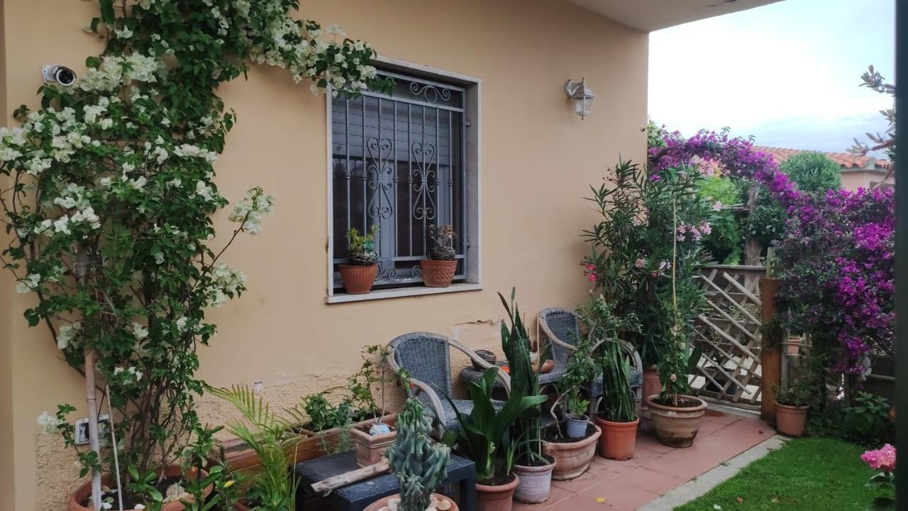 올비아 La Casa Di Luca 아파트 외부 사진